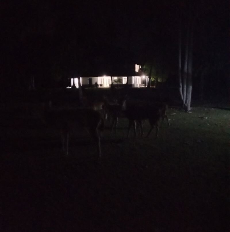 Ujung Kulon Trek-Carita必去景点