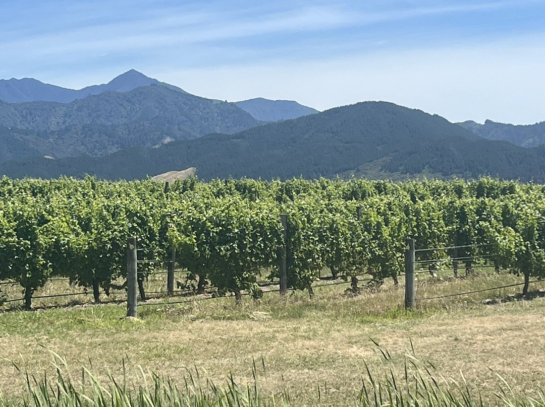 Bladen Wines-伦威克必去景点