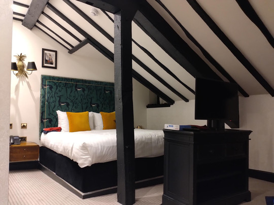 贝德福德天鹅宾馆酒店主图