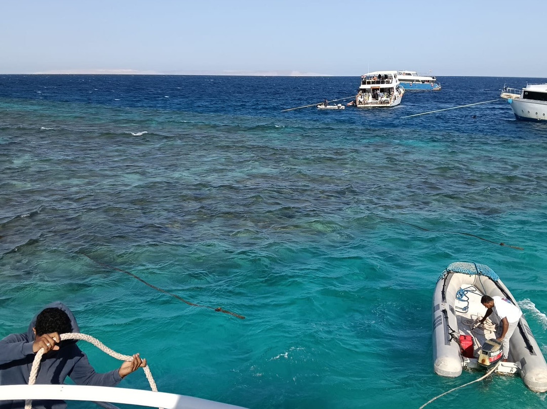 Red Sea Horse Diving-Hurghada 1必去景点
