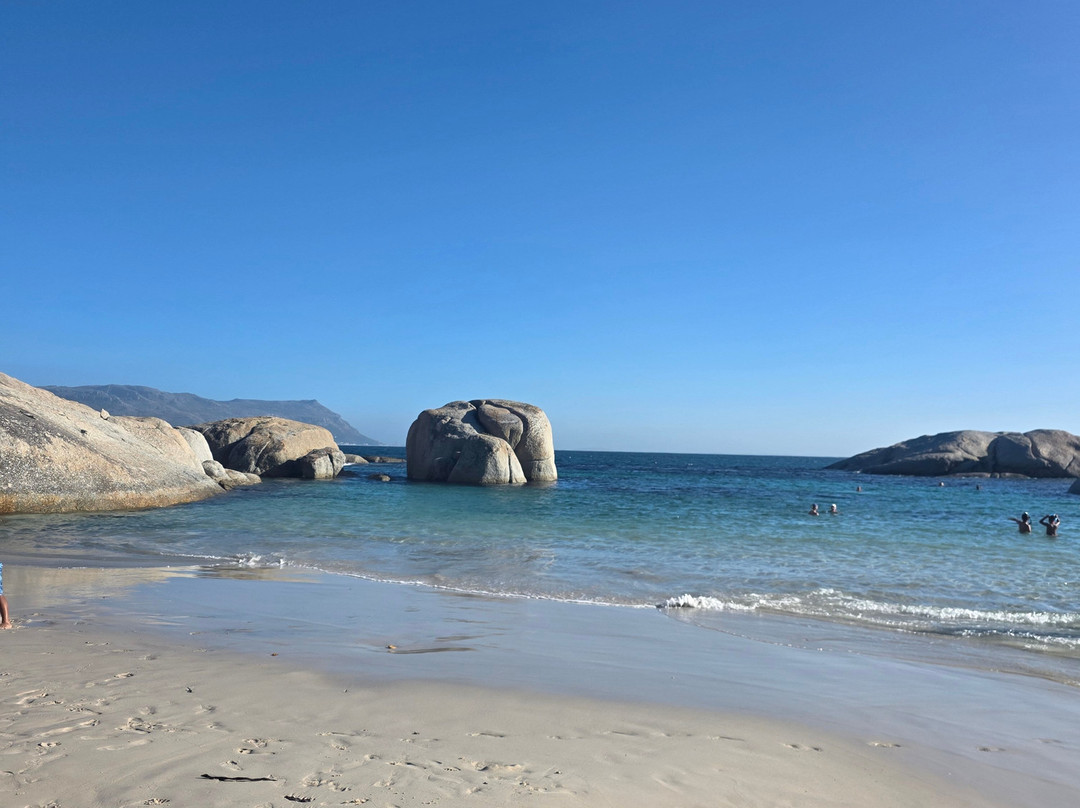 Just Africa Scuba PTY LTD-高登湾必去景点