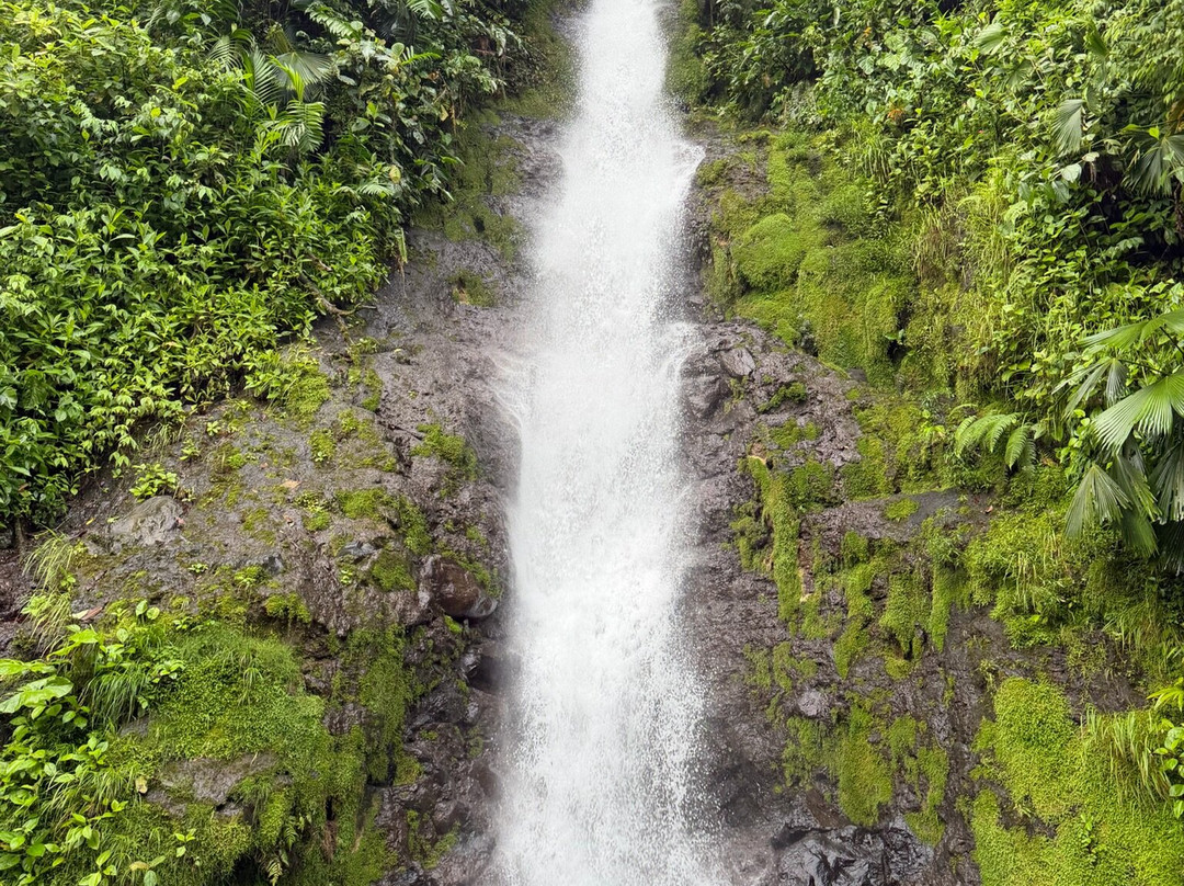 Ecotours Toro Amarillo 360-Bajos del Toro必去景点
