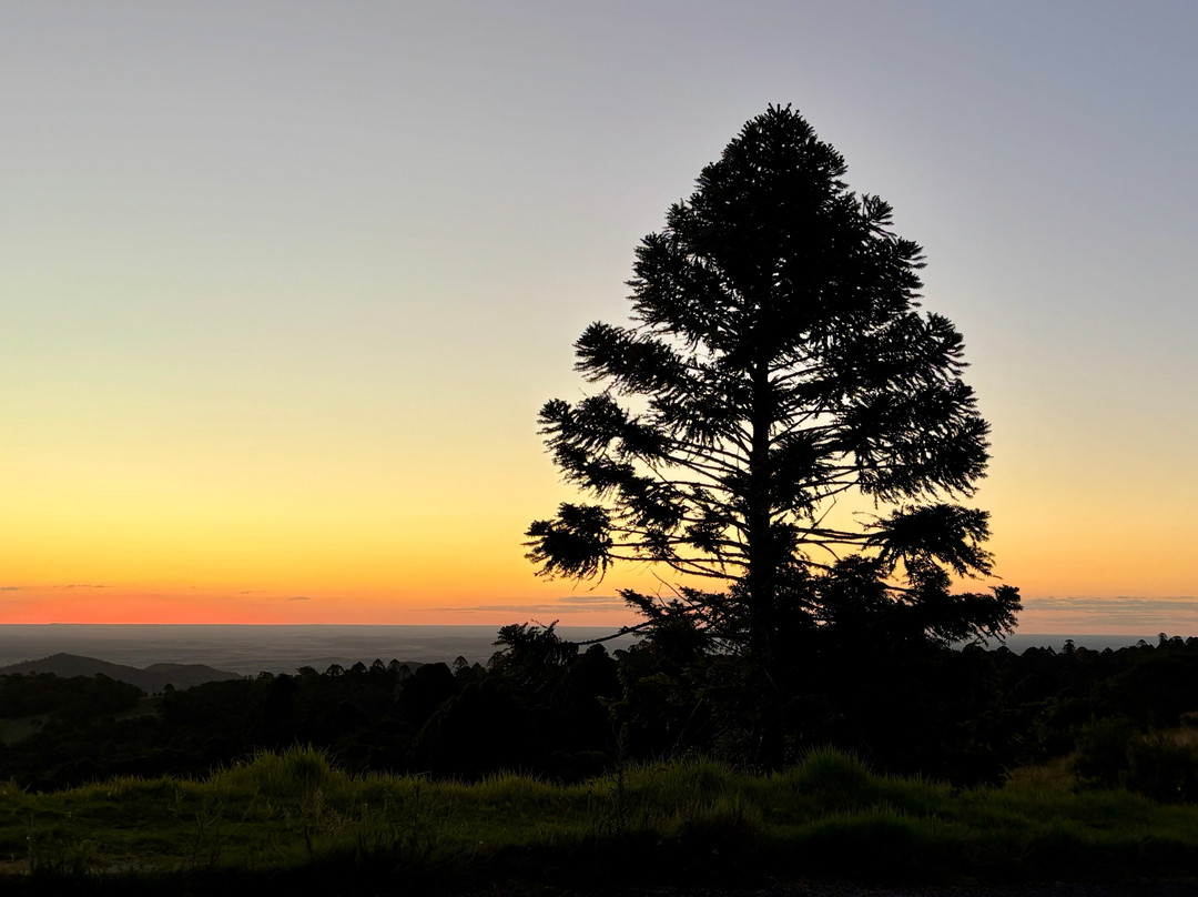 Paradise Falls-Bunya Mountains必去景点
