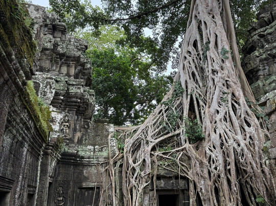 Asia Future Travel-暹粒必去景点