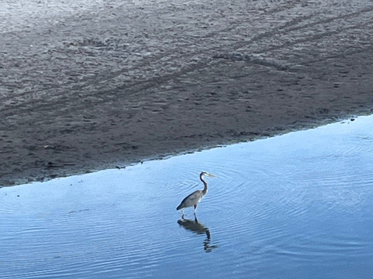 Bay View Hotel主图