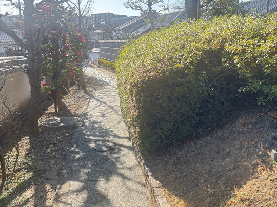 Ikeda Library-池田市必去景点