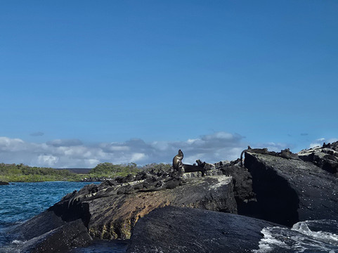Takiri Travel-基多必去景点