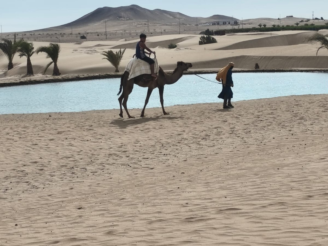 Dromedarius-伊卡必去景点