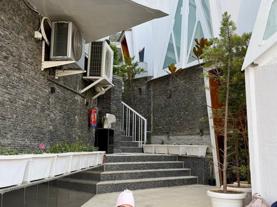 Tree of Life Eila Art Hotel, Manali主图