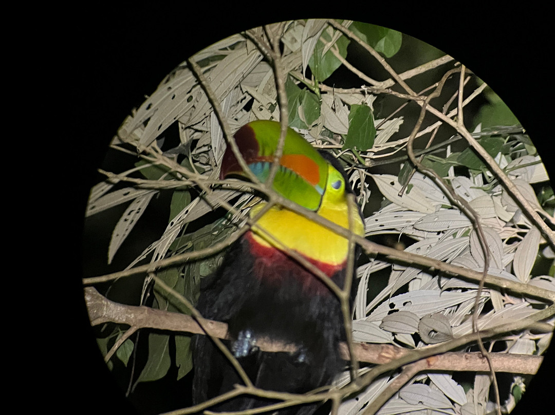 Finca Lantana Monteverde-彭塔雷纳斯必去景点