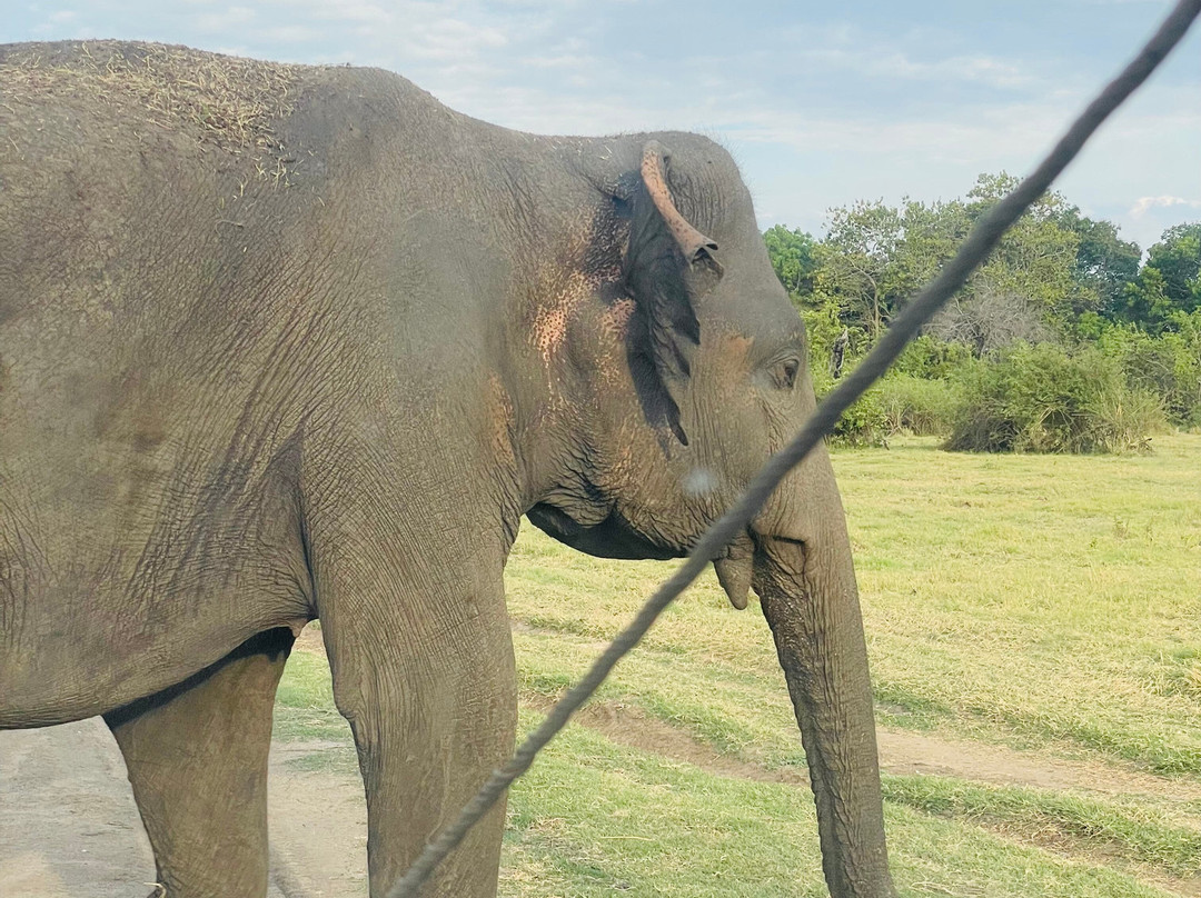 Elee'way Safari Habarana-哈巴拉娜必去景点