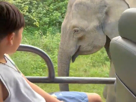 LK Tour Lanka-科伦坡必去景点