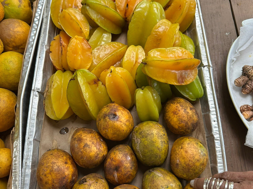 Abaco Neem-Marsh Harbour必去景点