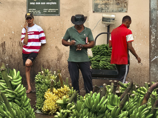 My Driver Sri Lanka-卡图纳耶克必去景点