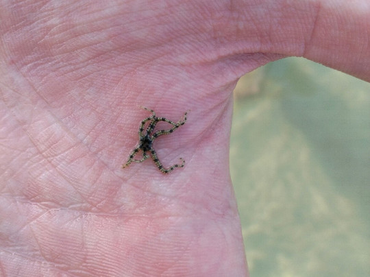 Sirinat National Park-奈阳必去景点