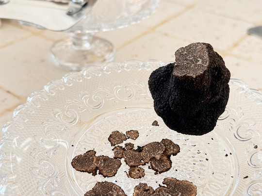 Truffle in Tuscany-圣米尼亚托必去景点