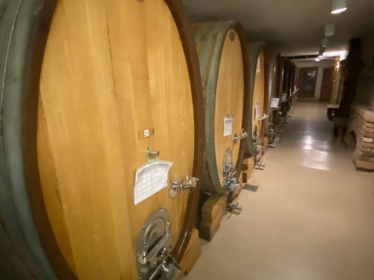 Winery Aleksandrovic-Topola必去景点