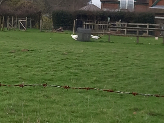 Watlington Hill-Watlington必去景点