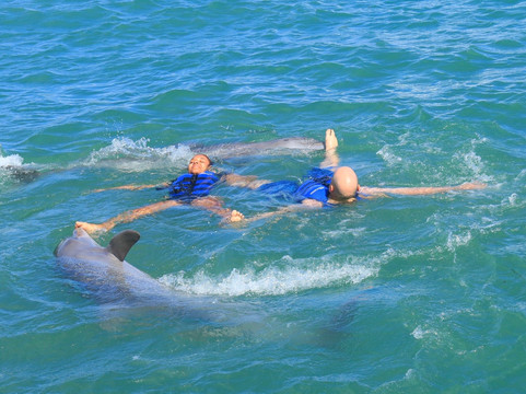 Dolphin Explorer-蓬塔卡纳必去景点