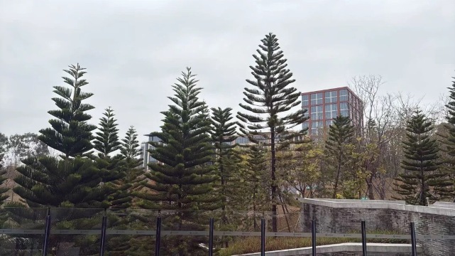 东莞松山湖悦榕庄-官方