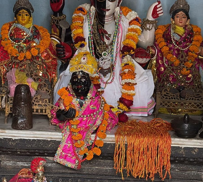 Achyuta Travel Mayapur & Tours-Mayapur必去景点