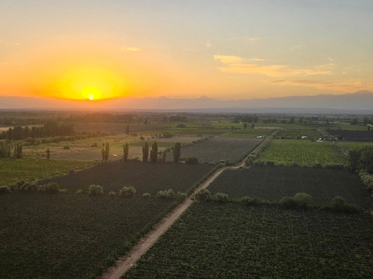 Mendoza Balloons-门多萨必去景点
