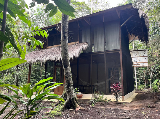 Psychonauta Foundation-伊基托斯必去景点