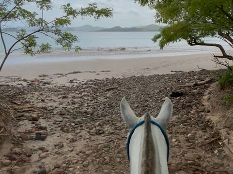 ConchalFun-孔查沙滩必去景点