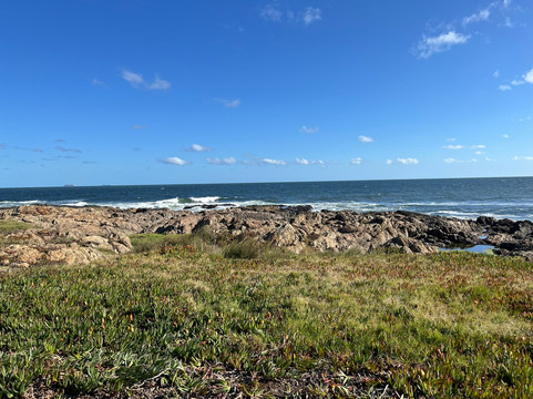 Rambla General Jose Artigas-埃斯特角城必去景点