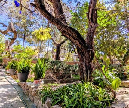 La Gruta Spa-圣米格尔护城必去景点