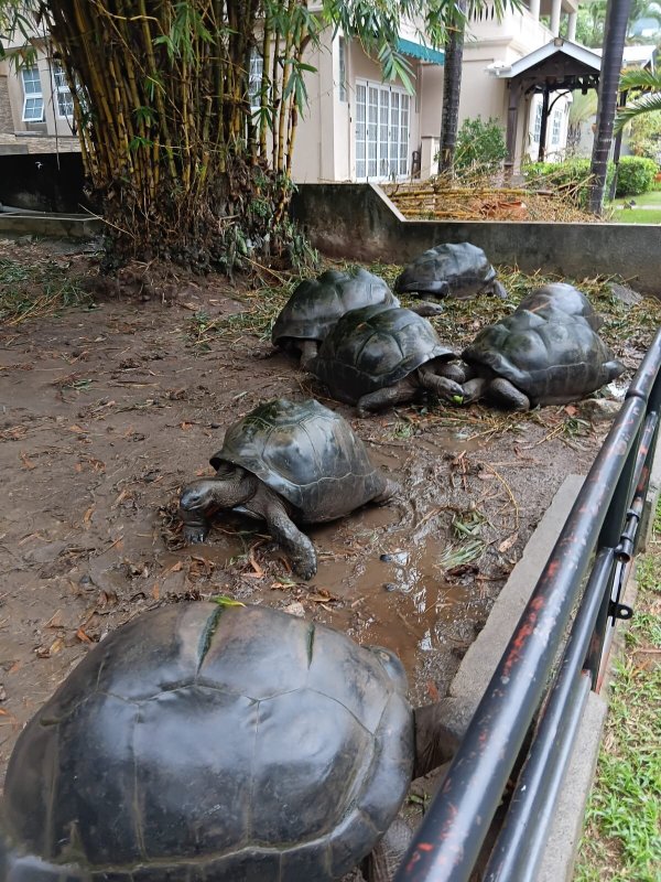 Bel Air Hotel-官方