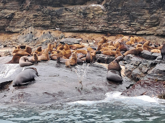 La Serena Turismo Chile-拉塞雷纳必去景点