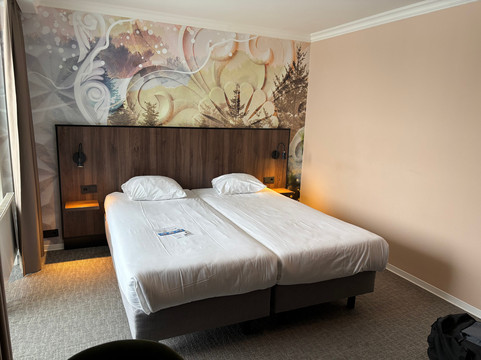 Fletcher Wellness-Hotel De Hunzebergen主图