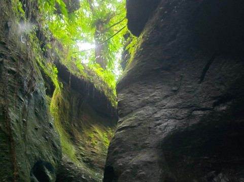 My Island Adventures with Chadi Symes-罗索必去景点