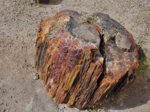 Petrified Forest National Park-霍尔布鲁克必去景点