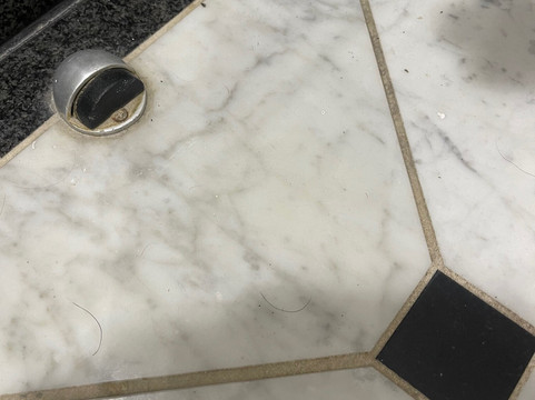 戈斯福斯公园大酒店主图