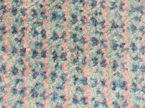 德雷顿谷福克斯伍德套房酒店主图