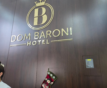 多姆巴洛尼酒店主图