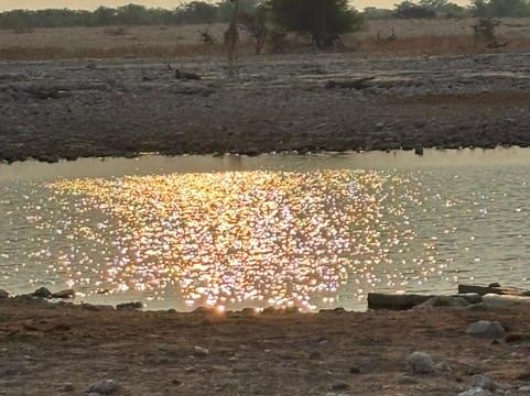 Okaukuejo waterhole-纳米比亚埃托沙国家公园必去景点