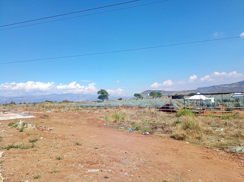 Tequila Tres Mujeres-Amatitan必去景点