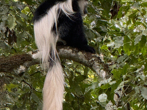 East Safari Tours-阿鲁沙必去景点