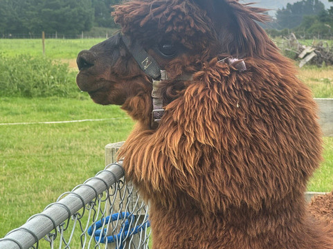 Rubicon Valley Farm-斯普林菲尔德必去景点