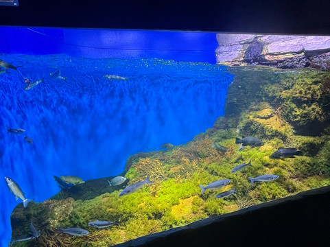 Aquarium La Rochelle-拉罗谢尔必去景点