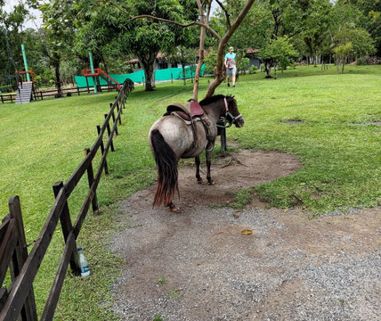 Rancho Alegre-Joinville必去景点