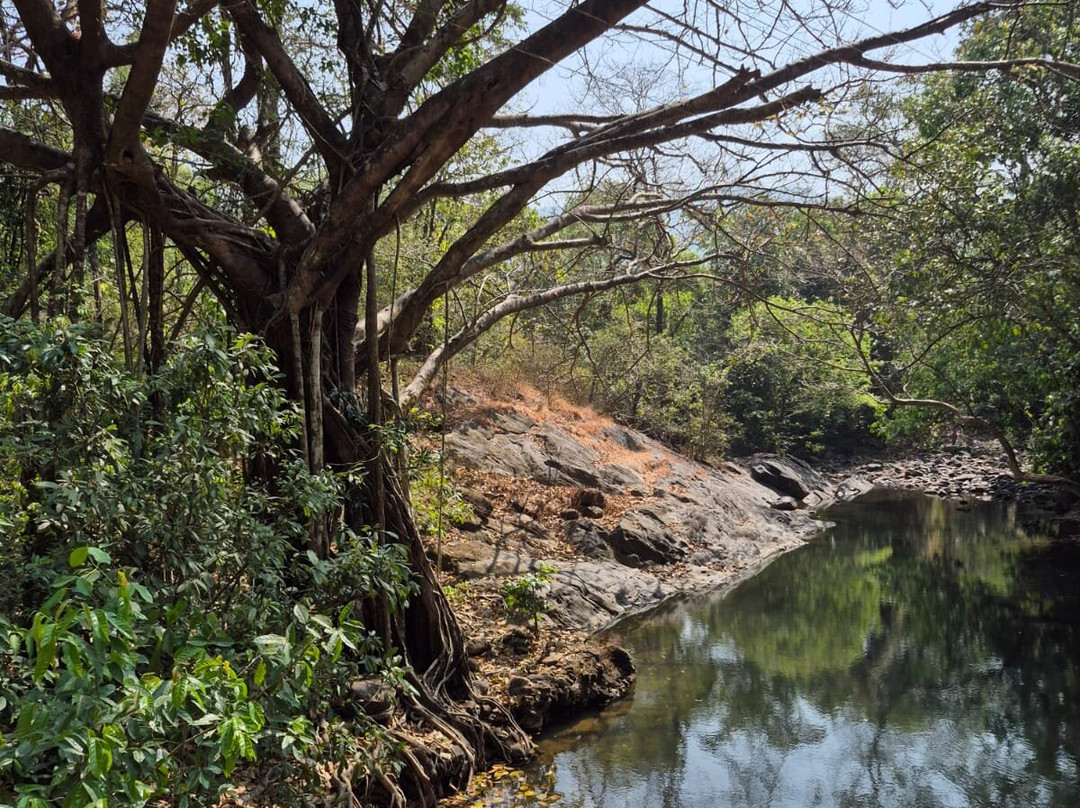 Tambdi Surla Waterfall-Surla必去景点