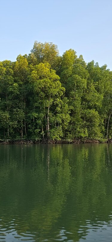 Langkawi Mangrove Night Safari-兰卡威必去景点