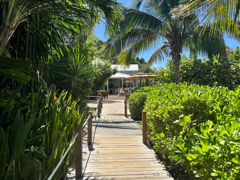 Caribbean Alibi Boat Charters-圣 托马斯必去景点