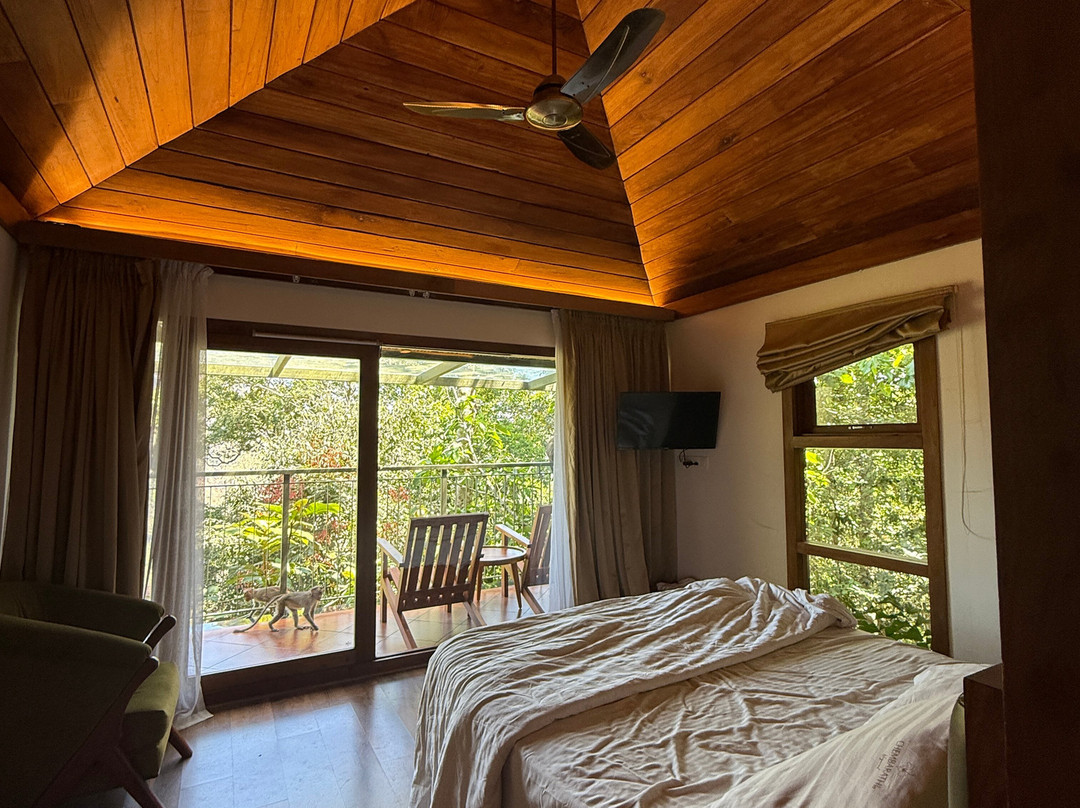 钦巴拉蒂瓦亚纳德精品度假村主图