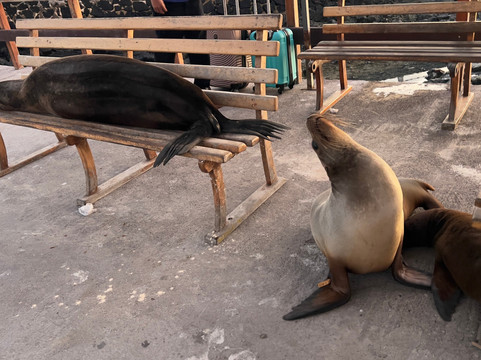 Heras Art Gallery-阿约拉港必去景点