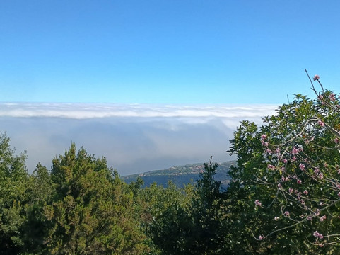 Cubo de la Galga-La Palma必去景点